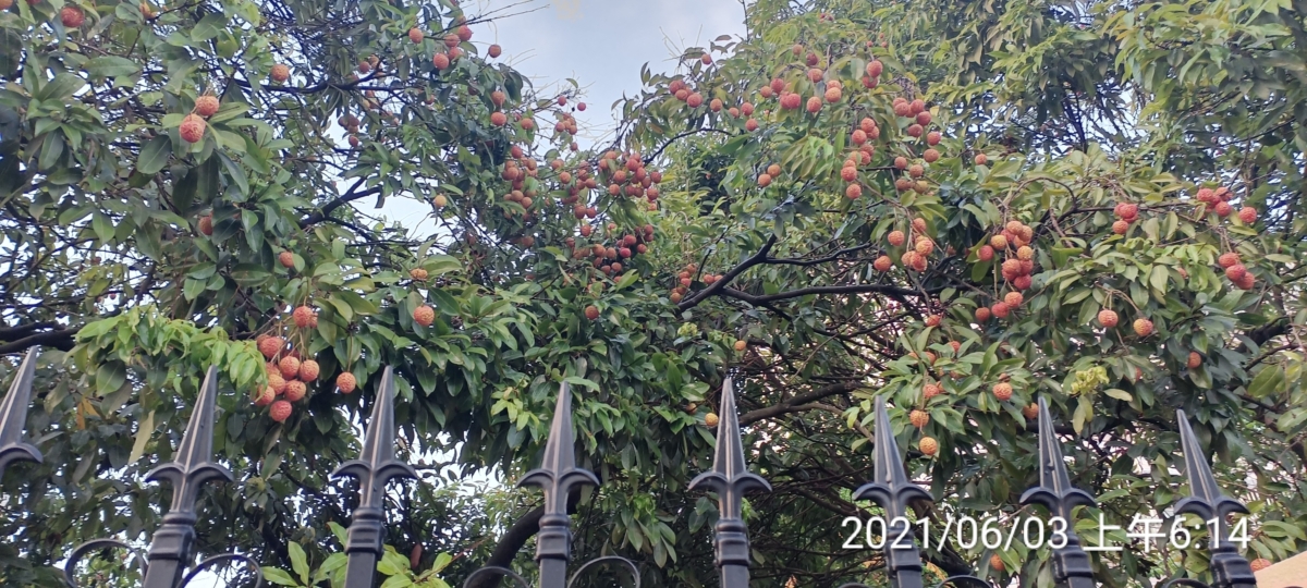 六月三日诗作两首