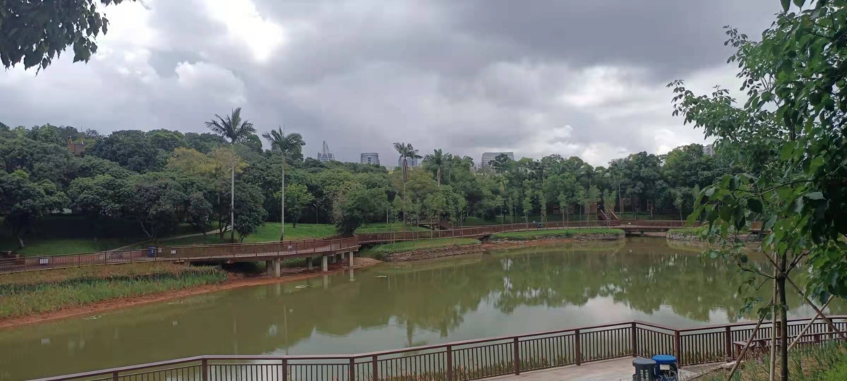 游平湖生态园有感